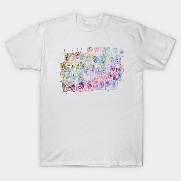 Mitosis T-Shirt by erzebeth